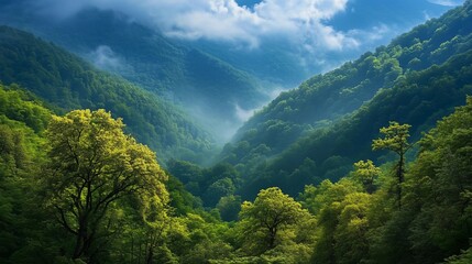 A breathtaking view of the lush green mountains and dense forests, with mist rising from their valleys