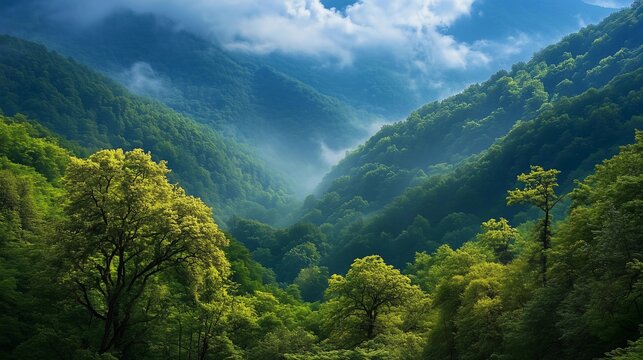 A breathtaking view of the lush green mountains and dense forests, with mist rising from their valleys