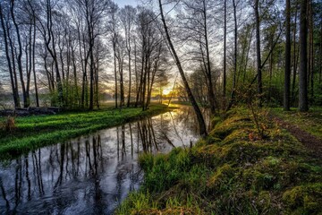 Spring river Grabia in my area during sunrise
