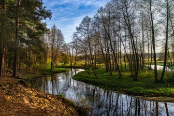 The spring river Grabia in my area