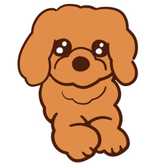 ゆめかわキュルンな目をしている我が家の愛犬ショコラ