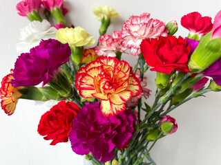Beautiful carnation flowers bouquet with pink, red, white and yellow carnations isolated on white close up, floral wallpaper background with 
multicoloured carnations