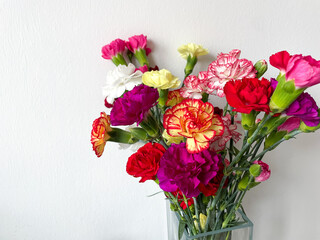 Beautiful carnation flowers bouquet with pink, red, white and yellow carnations isolated on white close up, floral wallpaper background with 
multicoloured carnations