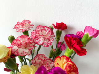 Beautiful carnation flowers bouquet with pink, red, white and yellow carnations isolated on white close up, floral wallpaper background with 
multicoloured carnations
