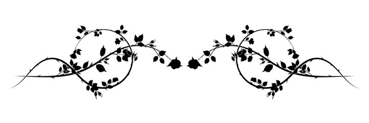 long pattern roses weaving plant element. vector