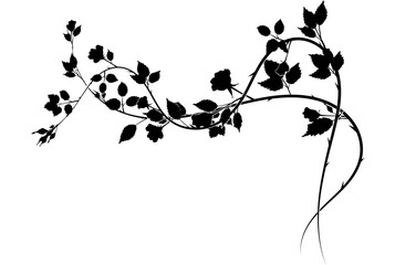 small element pattern roses weaving plants. vector