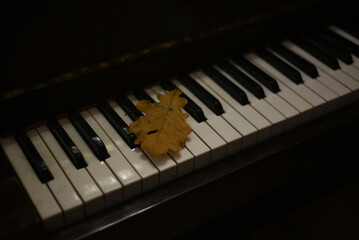 There is a dry yellow oak leaf on the piano keyboard
