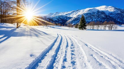 Obraz premium Serene Frosty Landscape with Snowy Trails Leading into Distant Mountains Under a Bright Winter Sun in a Picturesque Scenery