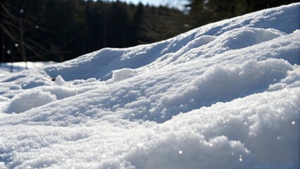 Obraz premium A serene snow-covered field surrounded by trees, creating a peaceful winter landscape.
