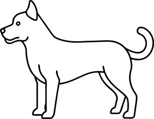 black and white dog
