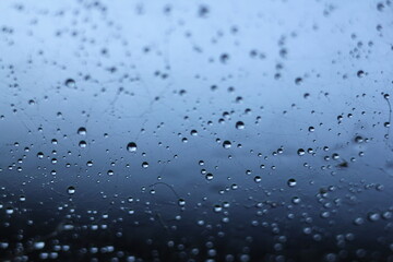 Abstract Blurred background in gray. Morning dew on a spider web.