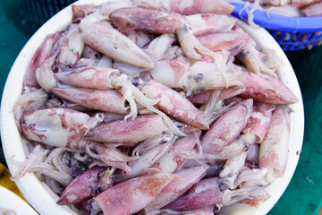 Freshly Caught Small Squids Displayed on a Market Table, Showcasing Their Unique Colors and Textures, Ideal for Culinary and Seafood Illustrations