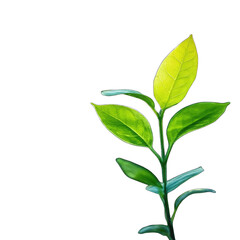 Fototapeta premium Natural plant green leaf in garden