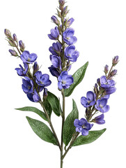 Vibrant purple flowers with lush green leaves create striking contrast, showcasing natures beauty. delicate petals and intricate details make this floral arrangement captivating