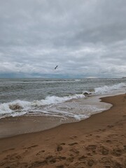 Winter beach in Gdańsk with the Baltic Sea’s waves crashing on the shore, footprints in the sand, and a seagull soaring under a cloudy sky