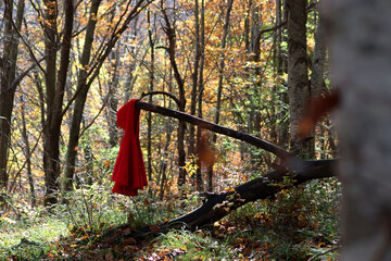 ou est passé le chaperon rouge et sa cape