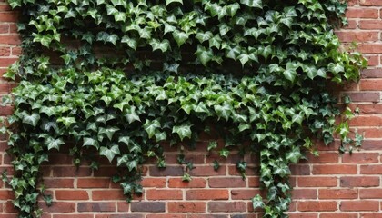 classic red brick wall with ivy climbing up