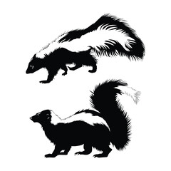 Set of Skunk silhouette, Black and White with white background Vol 02