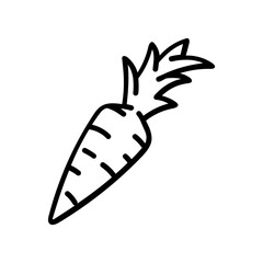 illustration of a carrot
