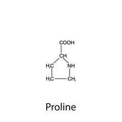 Chemical formula of proline. Essential amino acids. Organic chemistry. Vector.