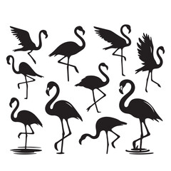 Obraz premium Flamingo silhouette vector design. Cute Flamingo logo, icon vector design black and white.
