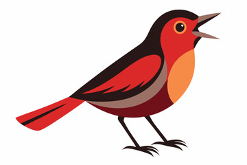 Birdsong Vector on White
