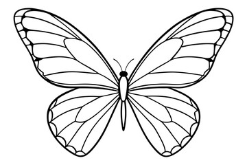 Monarch Wings line art white background