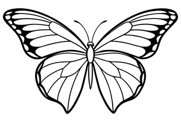 Monarch Wings line art white background