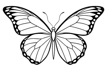 Monarch Wings line art white background