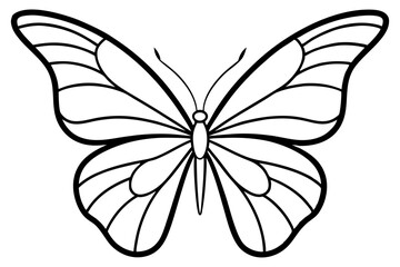 Monarch Wings line art white background