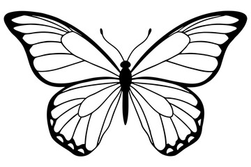 Monarch Wings line art white background