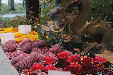 龍の像がある花手水に浮かぶ色とりどりの菊の花
