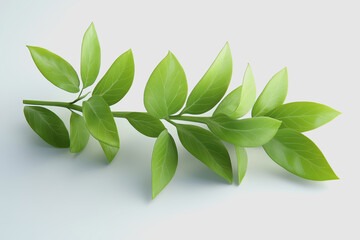 Lush Green Leaves Illustrated in , Perfect for Organic Herb Representations, Isolated on White Background for Creative and Educational Uses