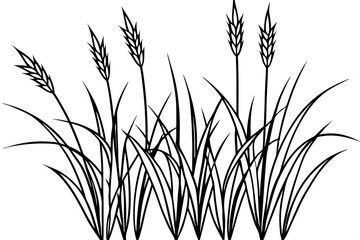 Wild Grasses line art white background