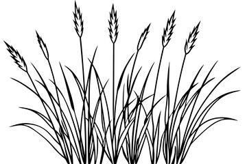 Wild Grasses line art white background