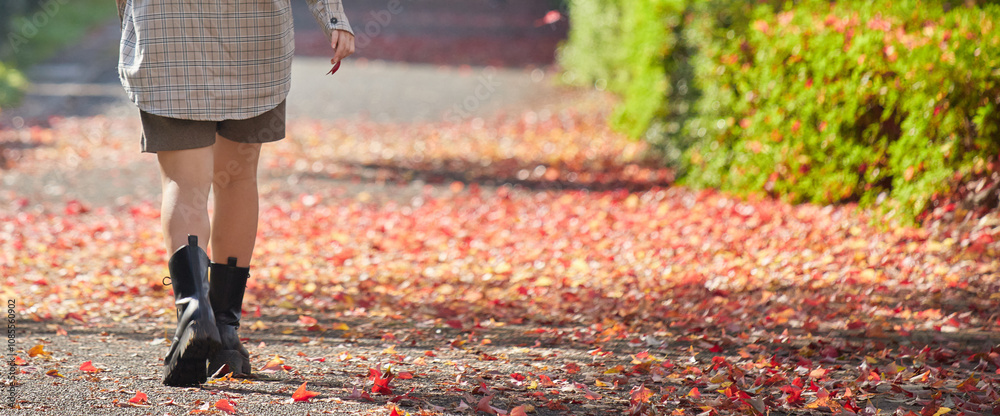 Wall mural 秋の公園の赤色の紅葉の落ち葉の道を散歩する若い女性の様子