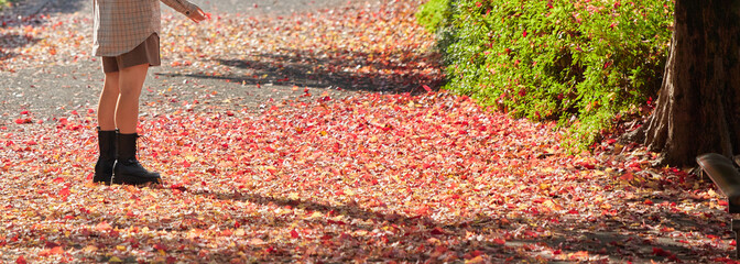 秋の公園の赤色の紅葉の落ち葉の道を散歩する若い女性の様子