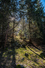 A mystical landscape in the mountains