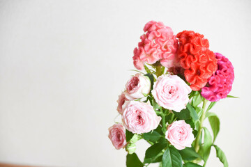 薔薇とケイトウ