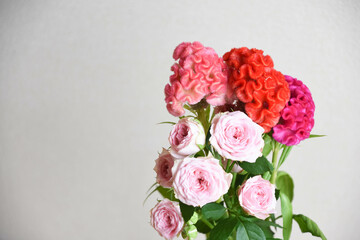 薔薇とケイトウ