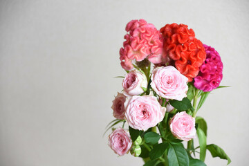 薔薇とケイトウ