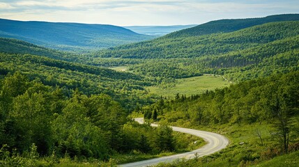 Fototapeta premium Scenic Winding Mountain Road Through Green Forest Valley