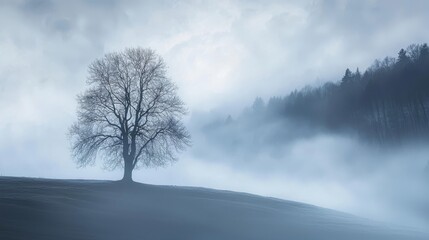 Scenic Nature Landscape with Dramatic Sky