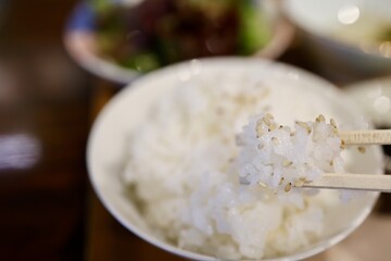 白ゴマをかけたご飯