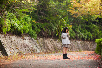 Fototapeta premium 秋の公園の赤色の紅葉の落ち葉と散歩する女子高校生の姿