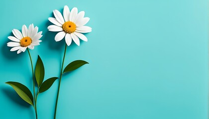 flower on blue background