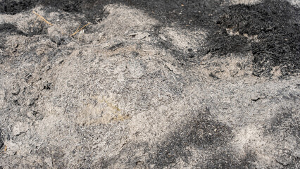dust from burning straw in rice fields