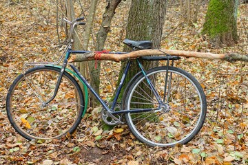 one retro old black dirty broken two wheel iron with rusty chain and green fender painted industrial bicycle with a stick tiled to the frame stands near a tree in the forest