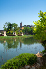 the river in the park