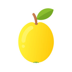 Yellow plum vector illustration